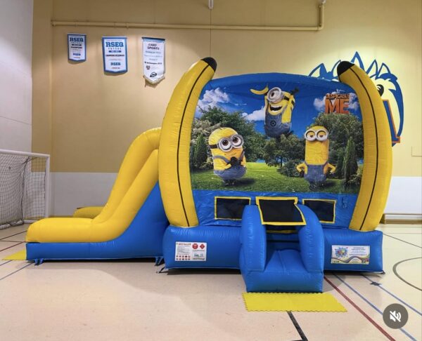 Les minions 2