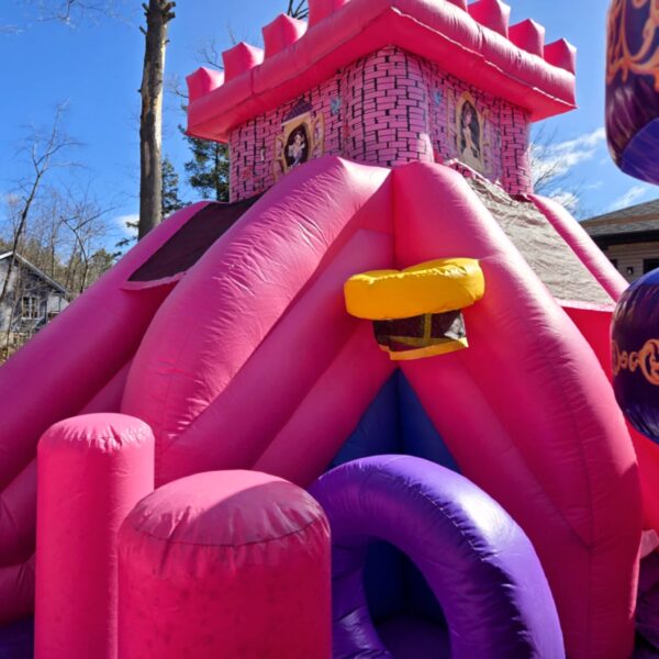 Royaume princesse - Image 5