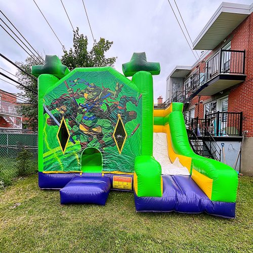 photo-output_0 11